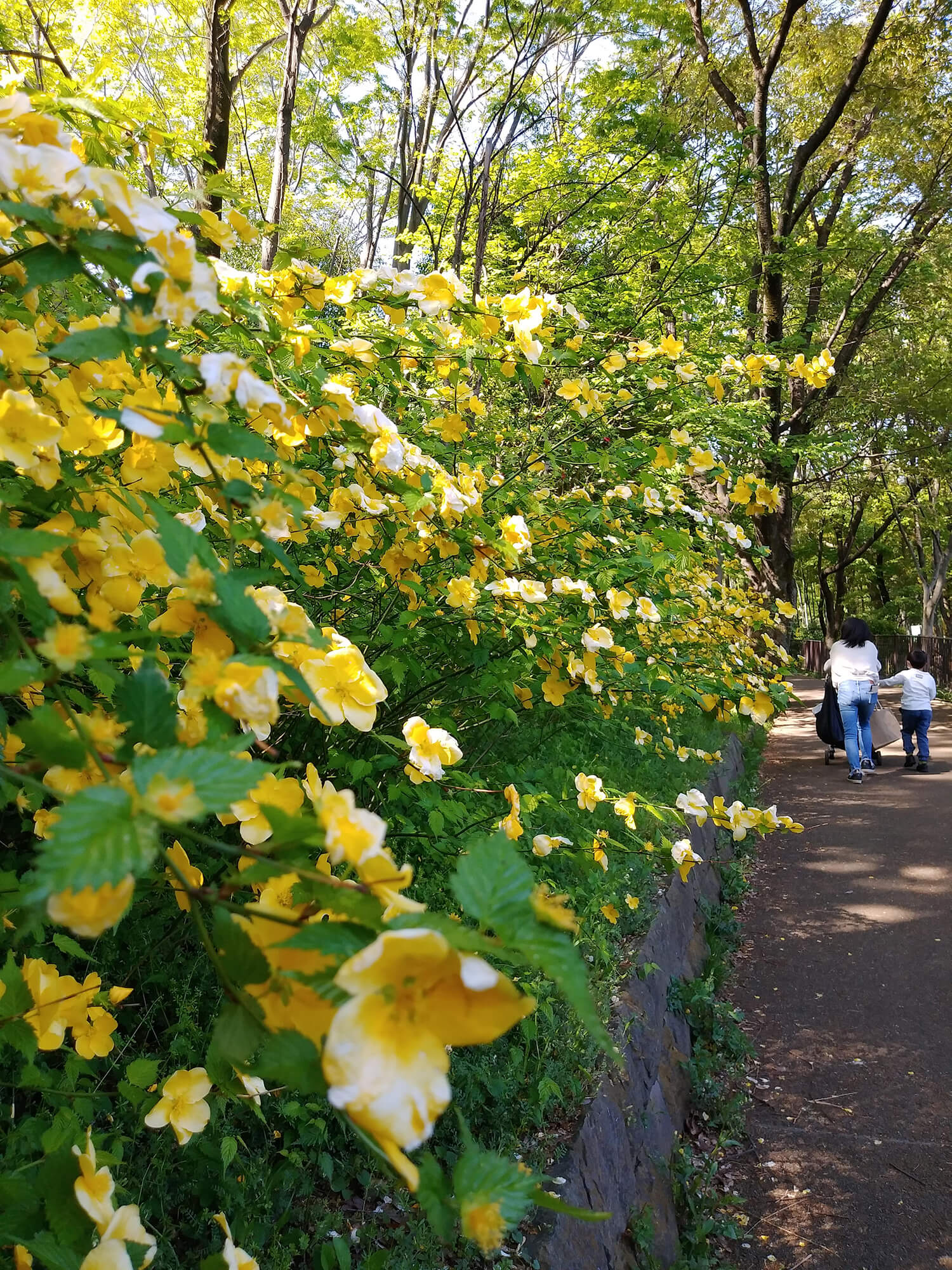 09 疲れる母の休日