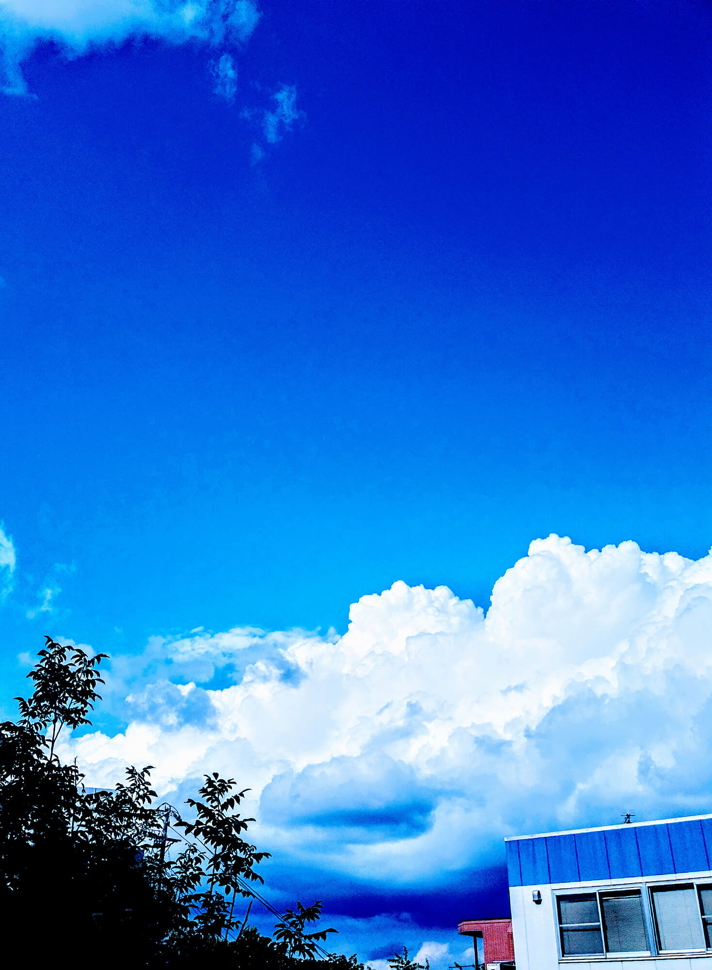 23 奇跡の1枚青空の雲