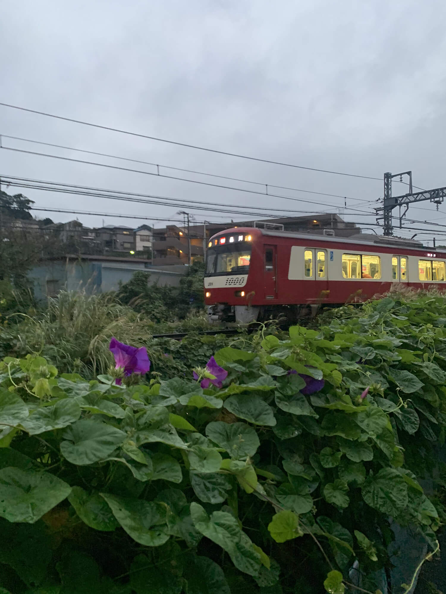 25 明るい時に撮った電車