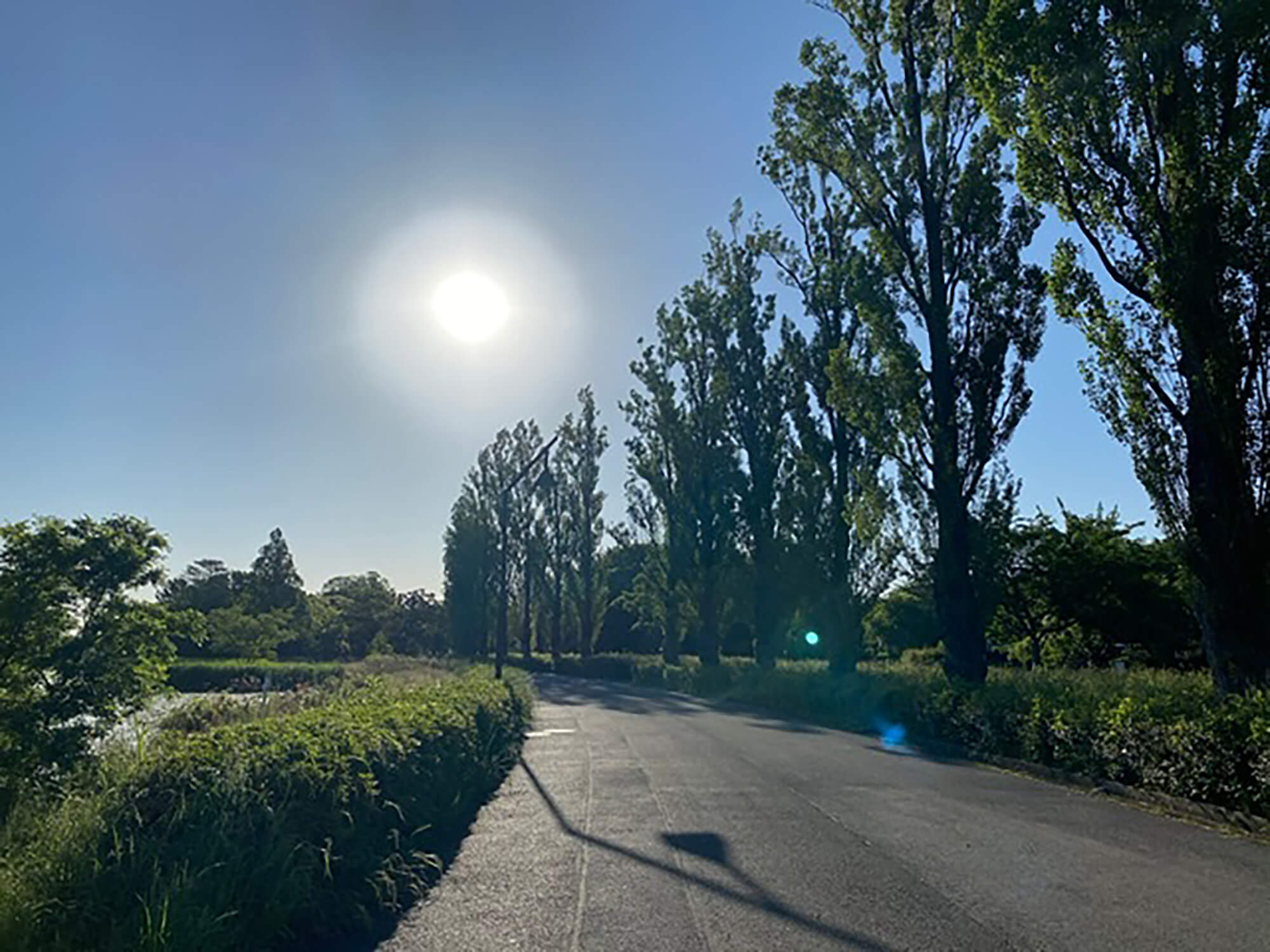 09 水元公園