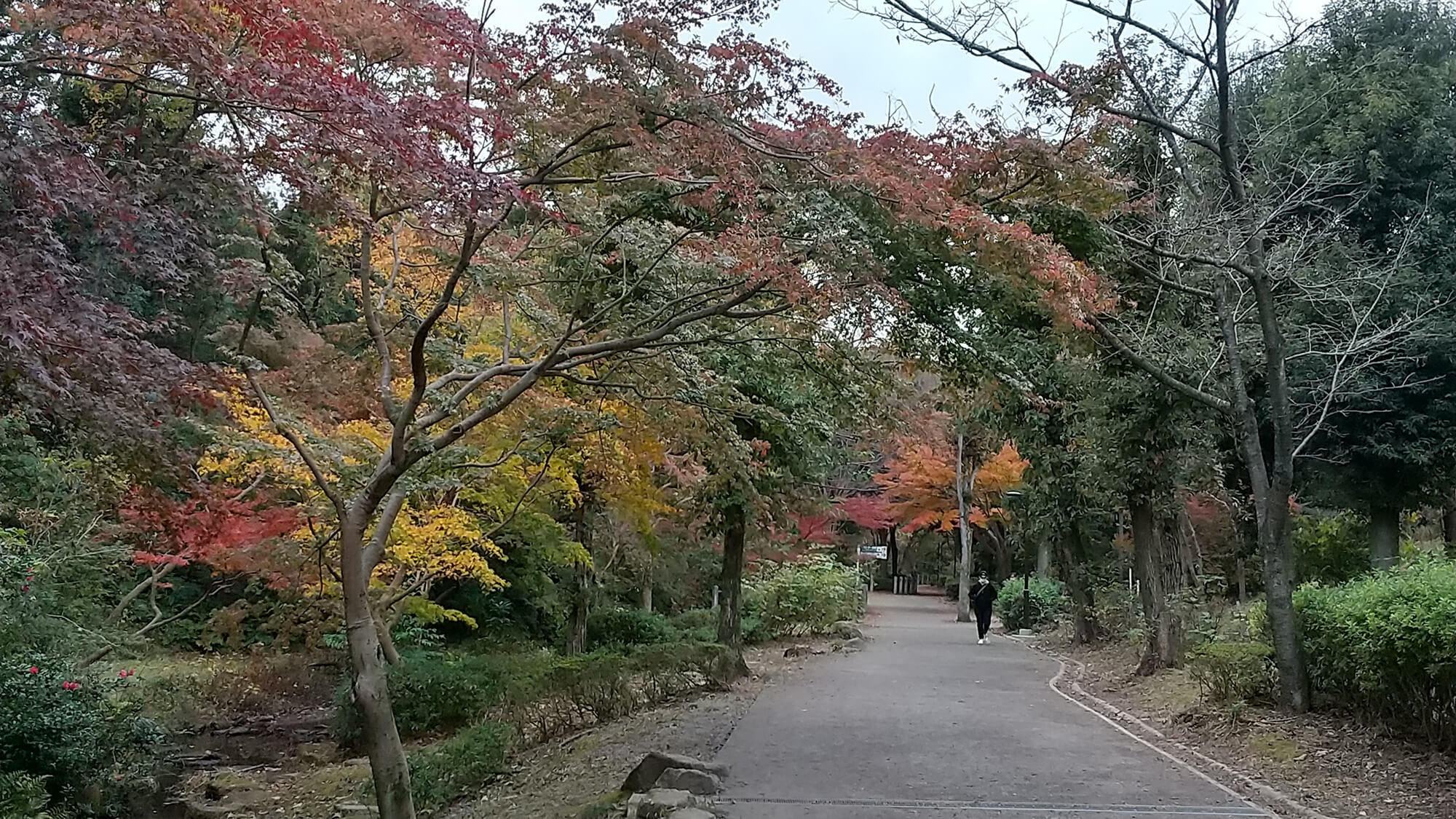 03 色づき始めた公園
