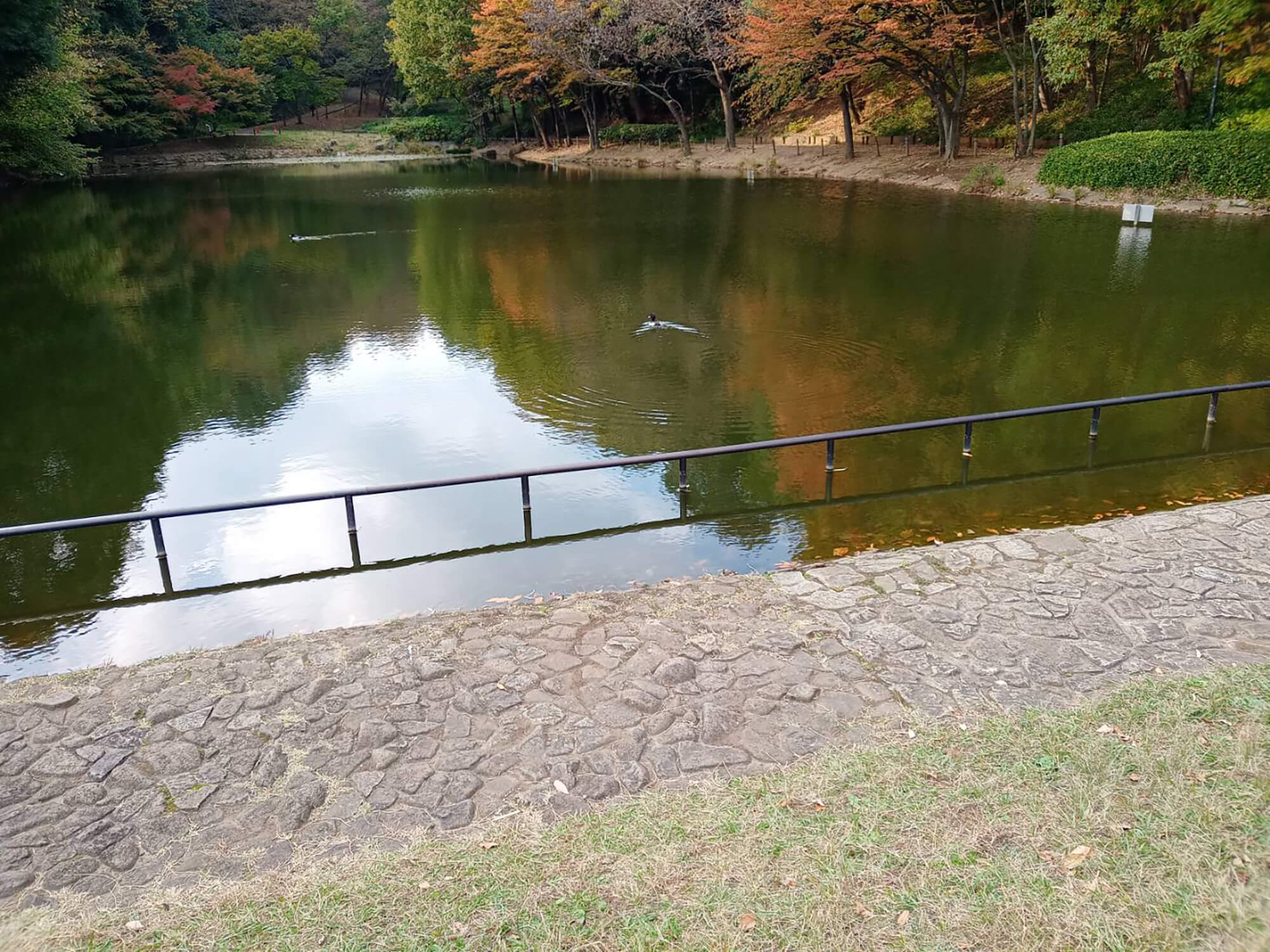 04 池