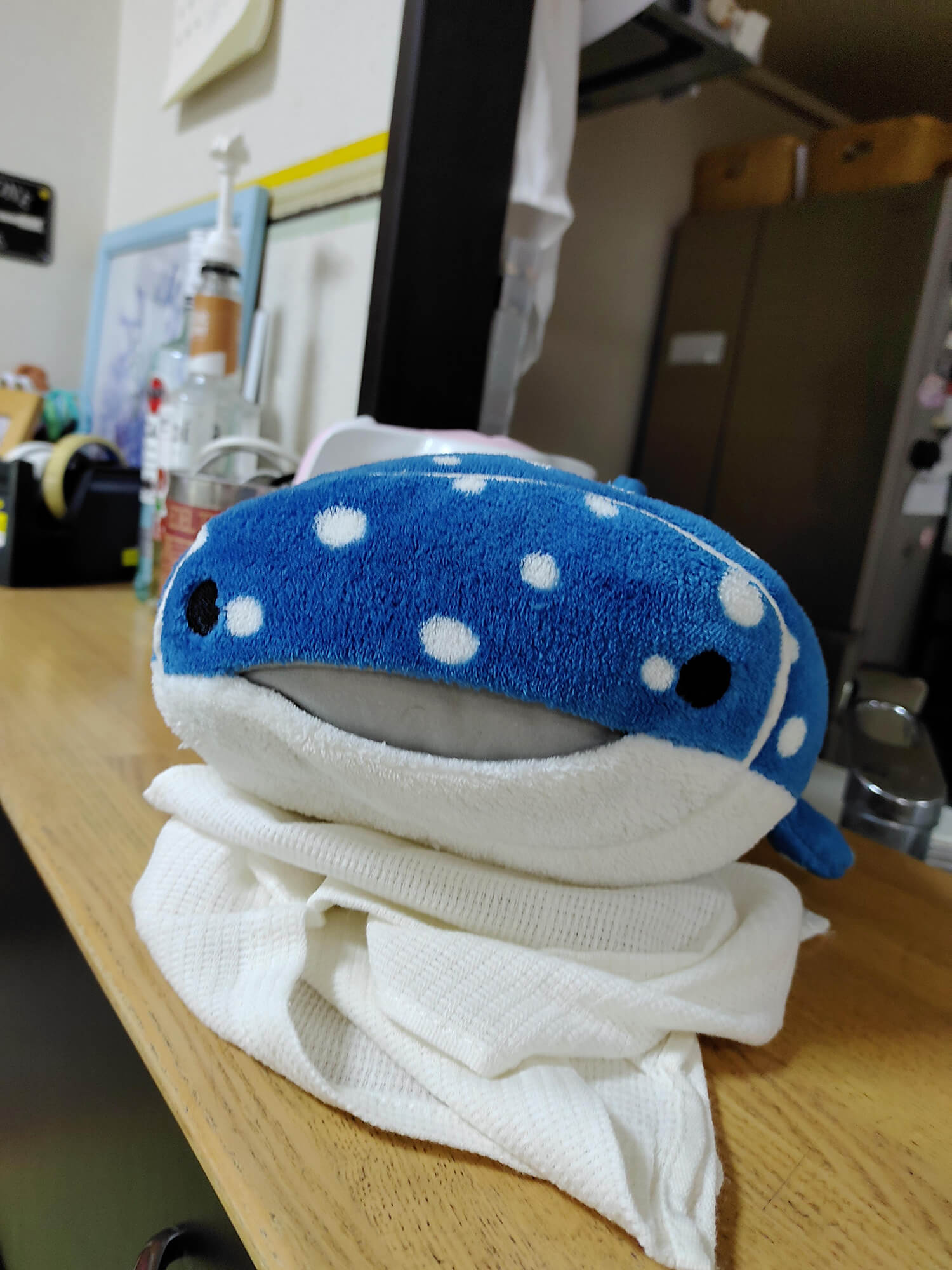 12 ジンベイザメのぬいぐるみ