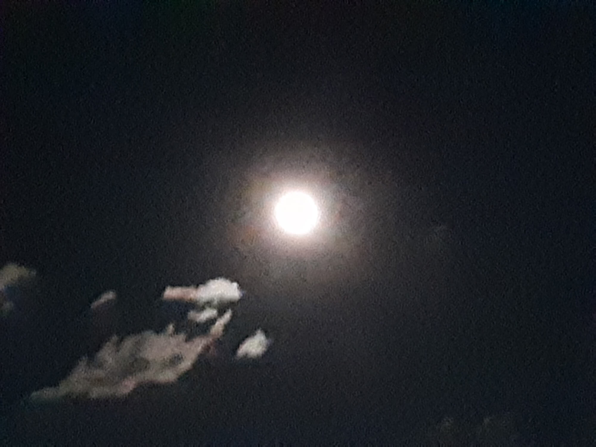 04 月