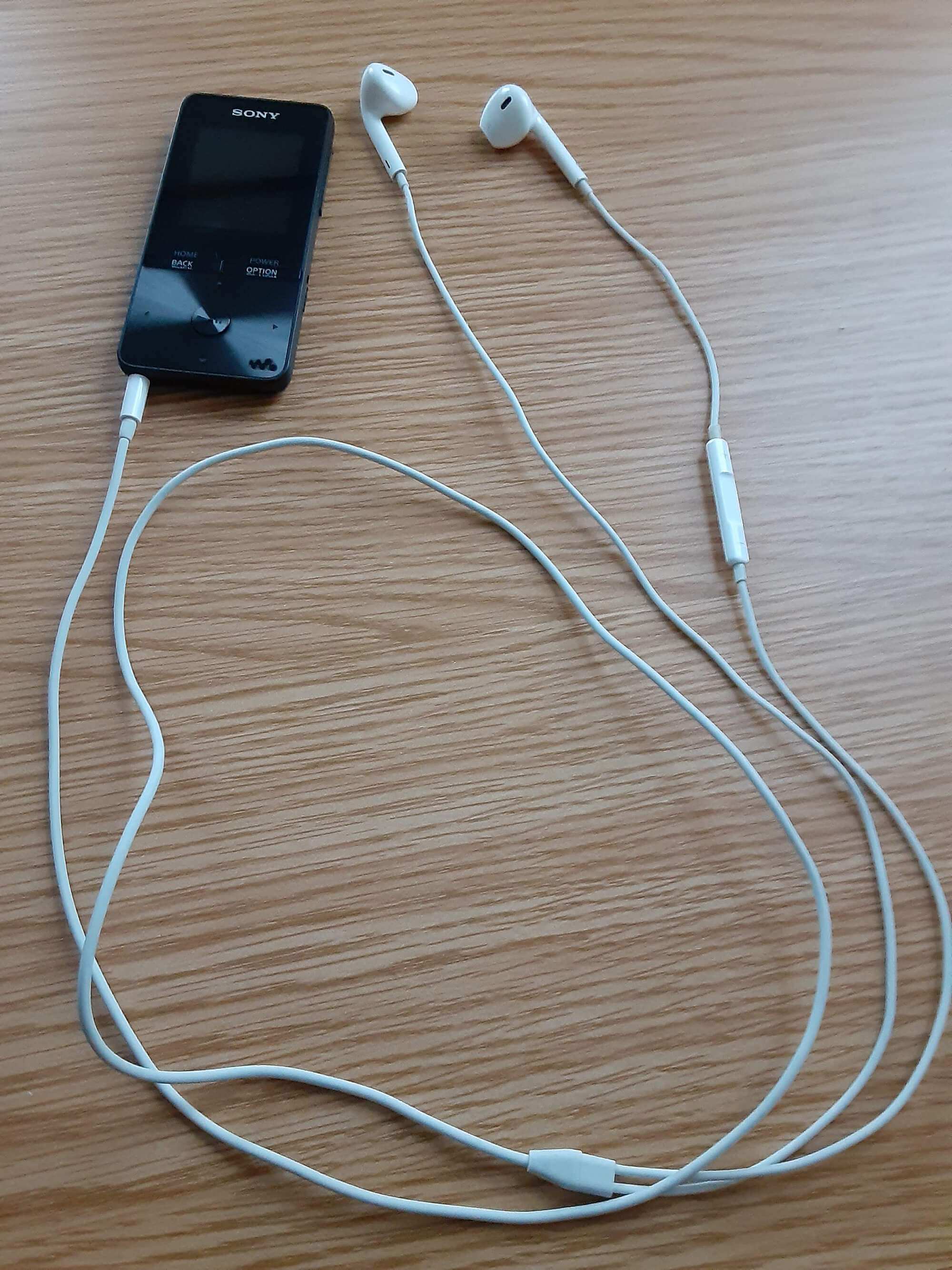 16 音楽