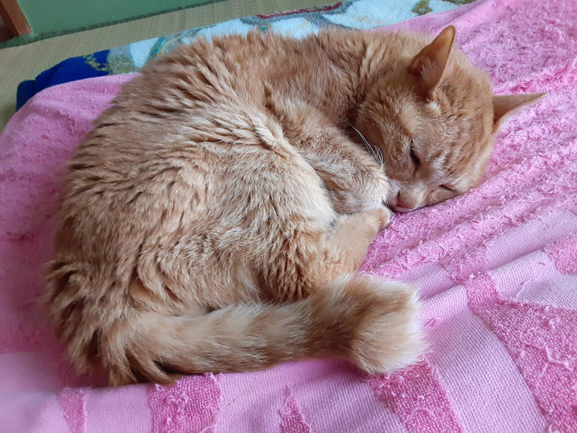21 きたろう
