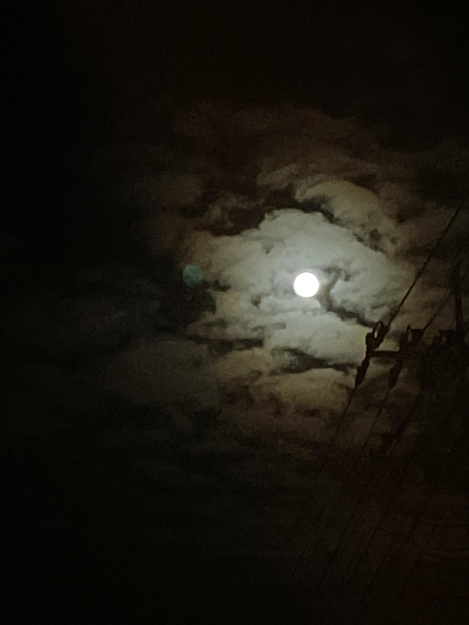 07 月