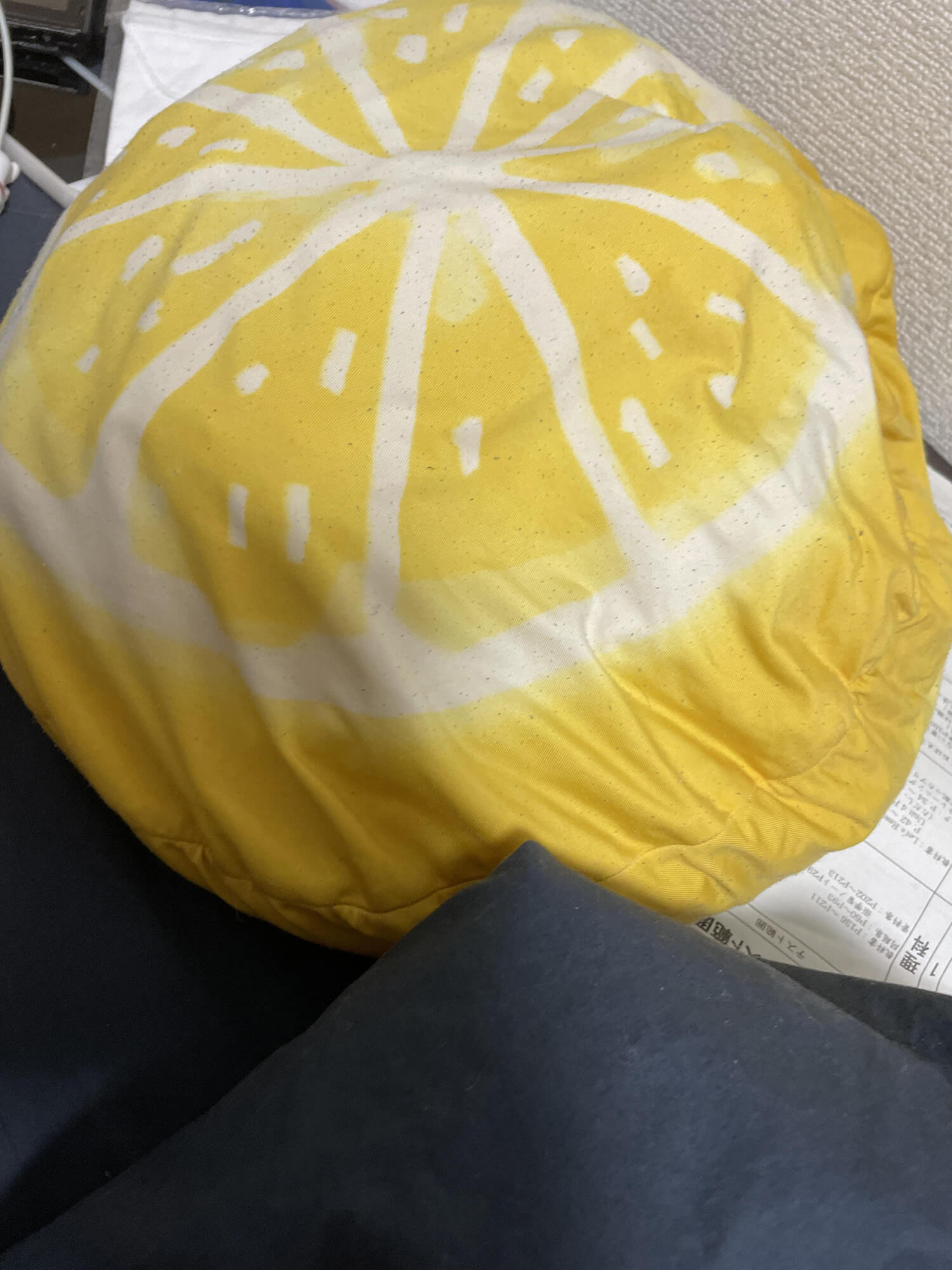 09 クッション