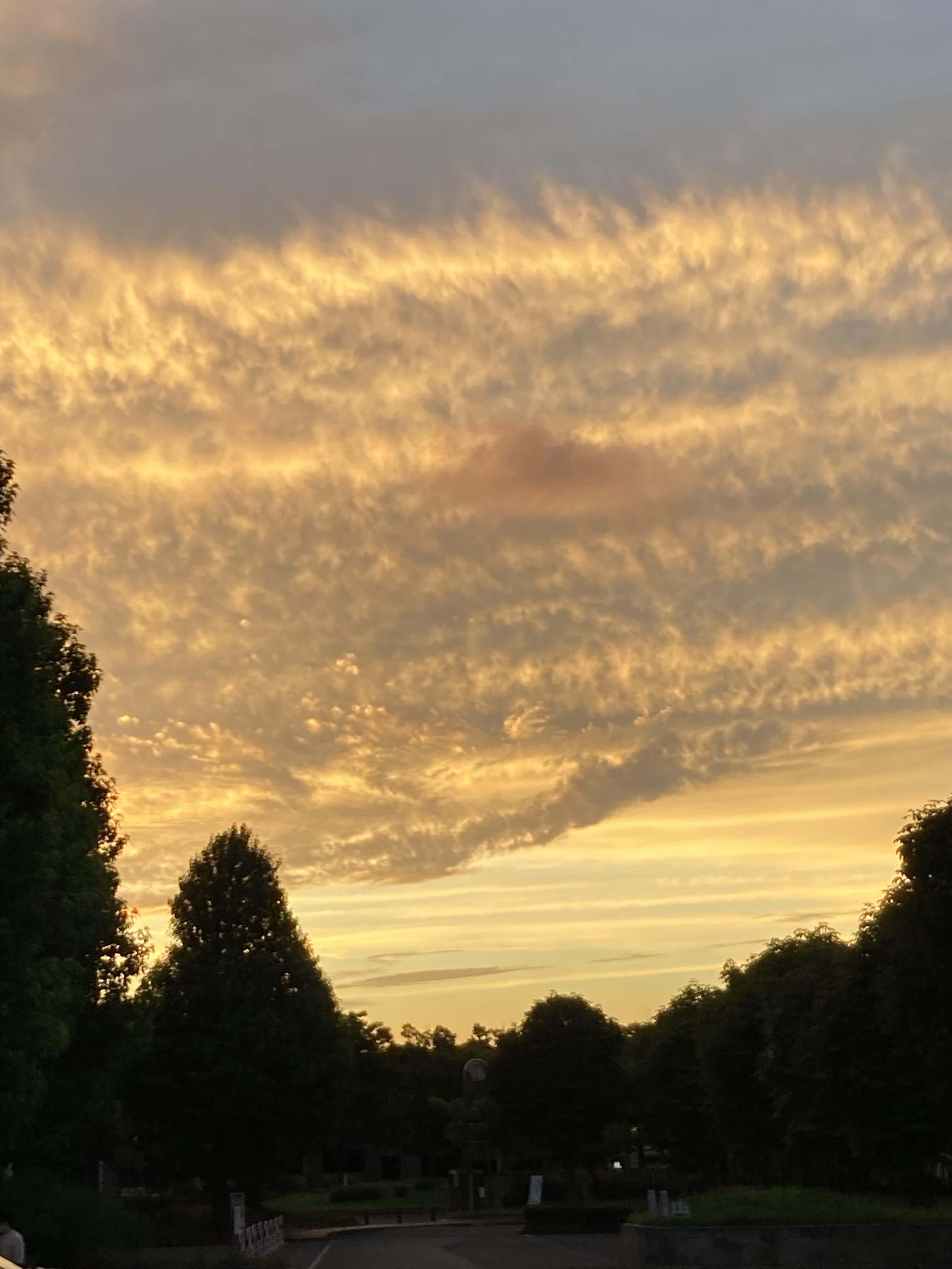 07 きれいな雲