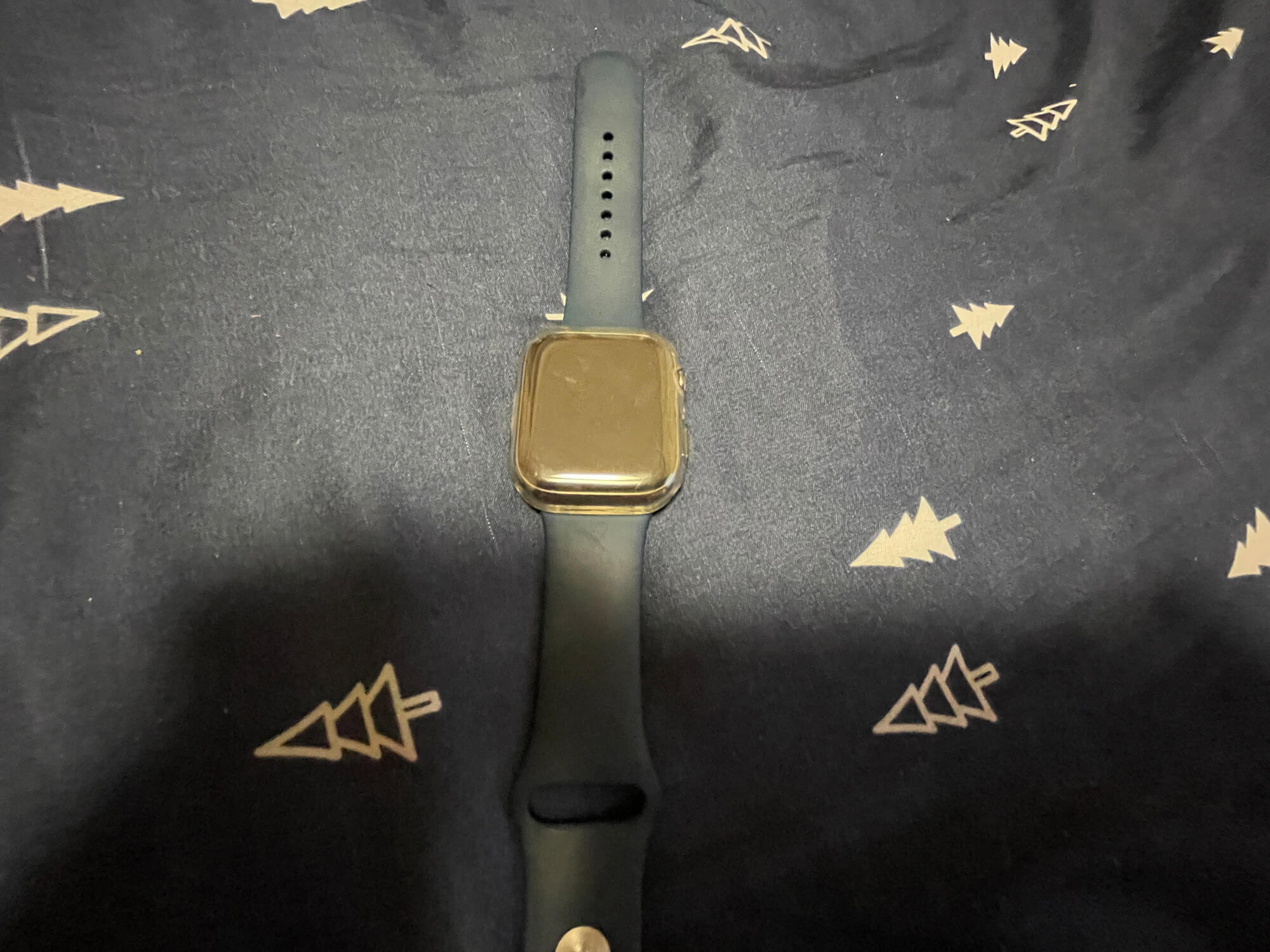 01 お父さんのApple Watch