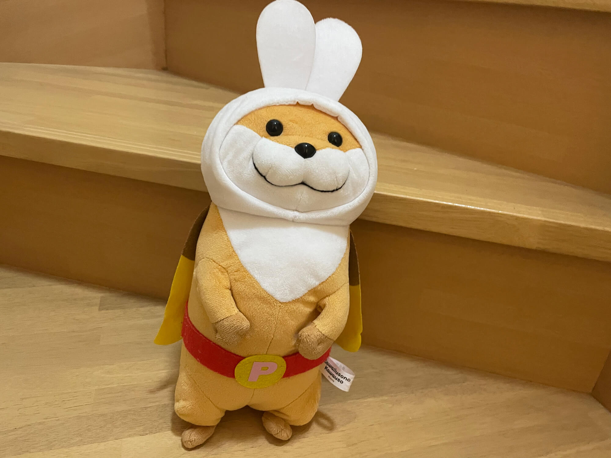 20 ぬんぴょこ