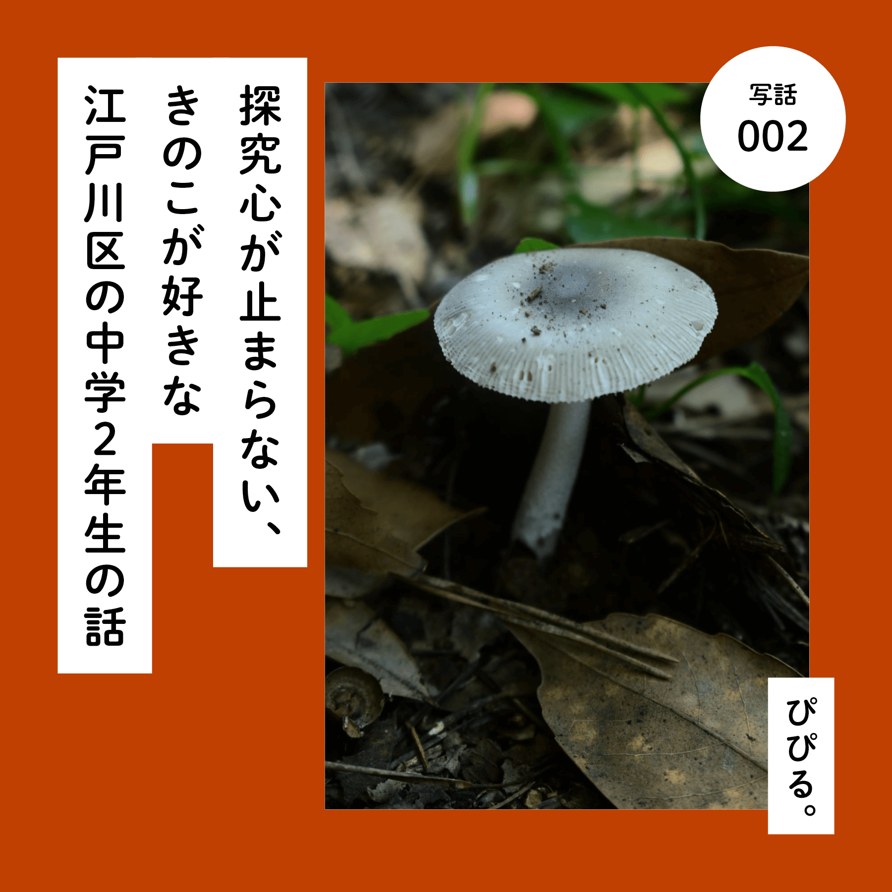 探究心が止まらない、きのこが好きな江戸川区の中学２年生の話