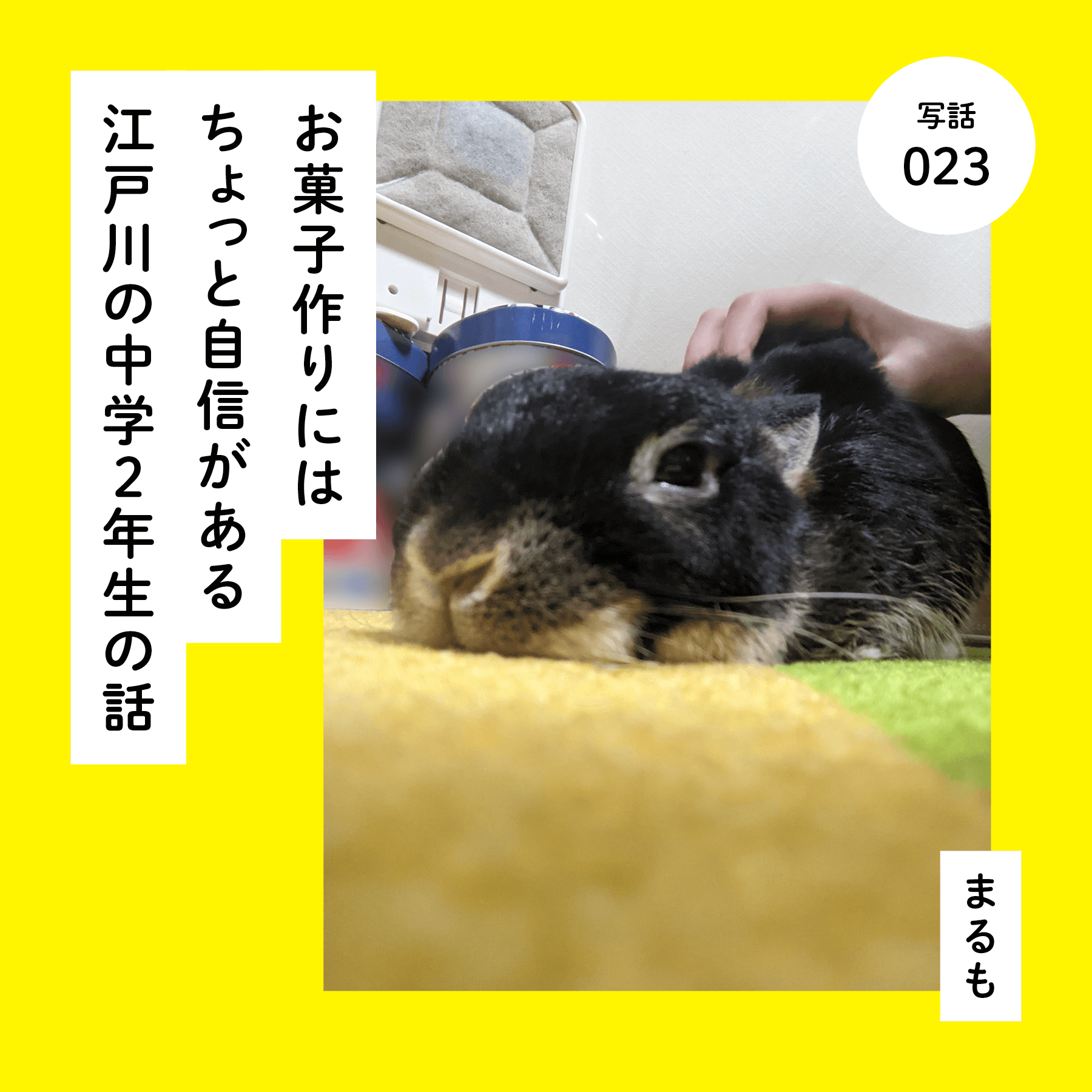 お菓子作りにはちょっと自信がある江戸川の中学２年生の話