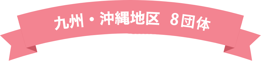 九州・沖縄地区 8団体