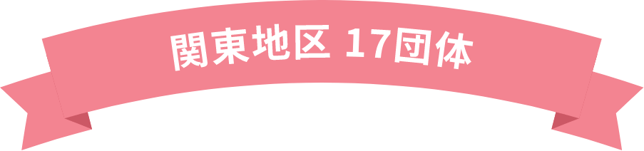 関東地区 17団体