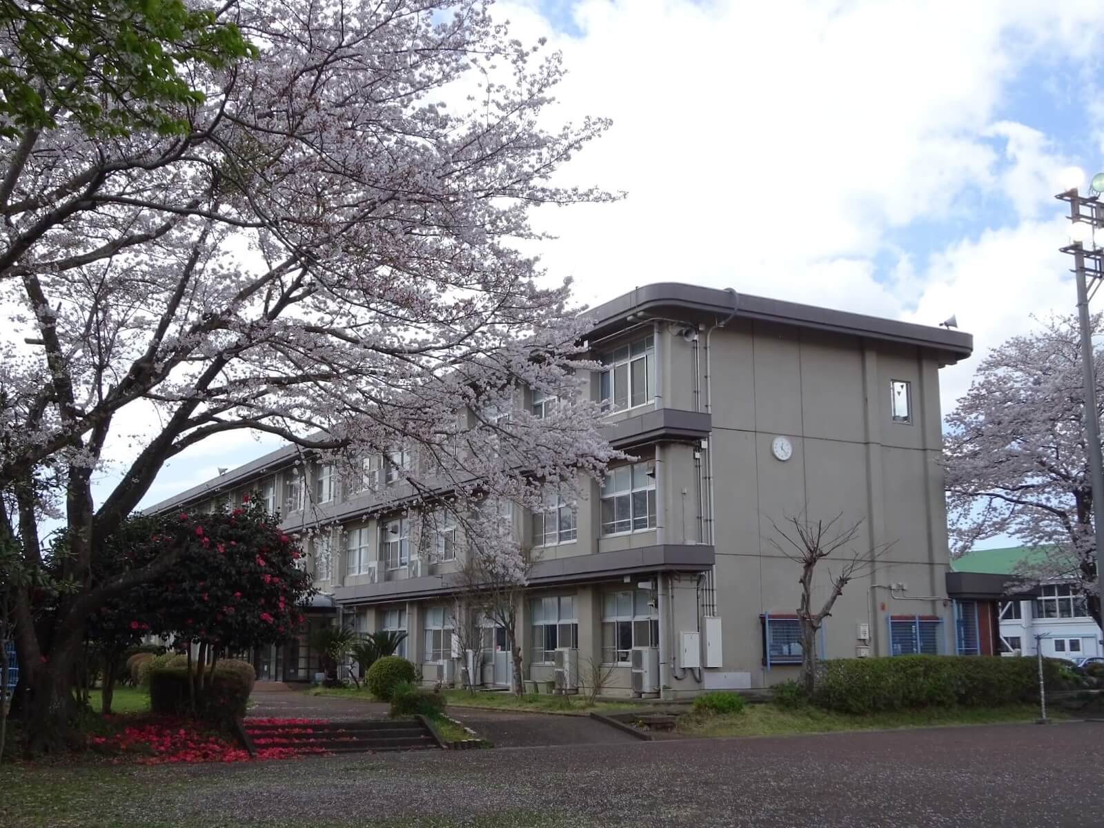 写真_函南町立桑村小学校_1