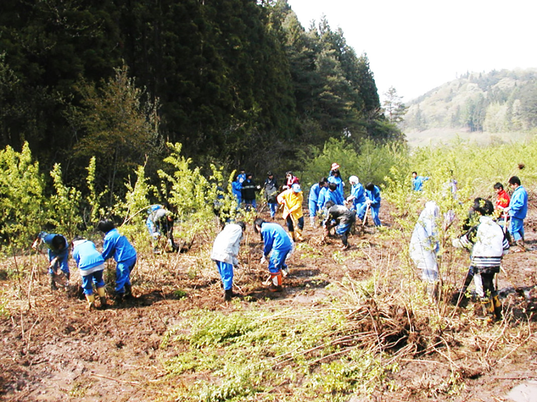だんぶり池づくり～雑木の抜き取り作業～