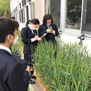 朝川 真行（岡山中学校・岡山高等学校　教諭）