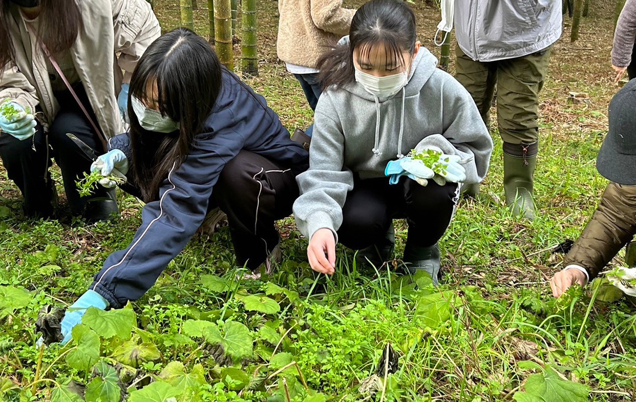 久重地域に自生する七草を採取する子どもたち