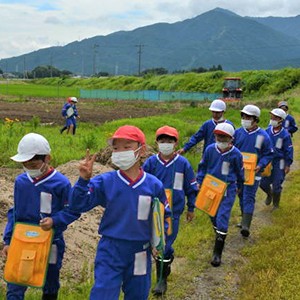 特定非営利活動法人 五泉トゲソの会