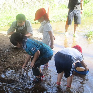 豊田市立平井小学校