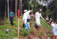 小泉山体験の森創造委員会