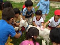 上越市立高志小学校