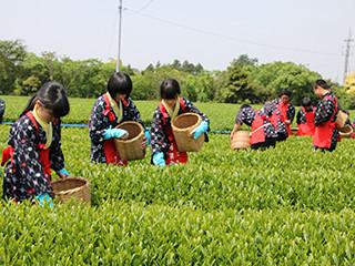 牧之原市菊川市学校組合立牧之原中学校