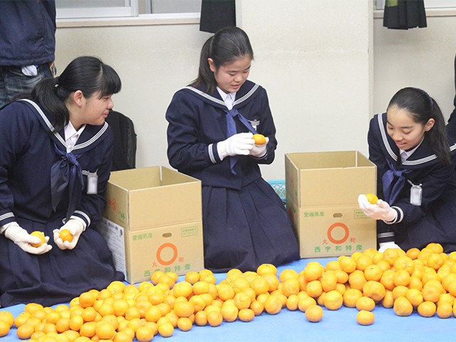 八幡浜市立真穴中学校・八幡浜市立真穴小学校