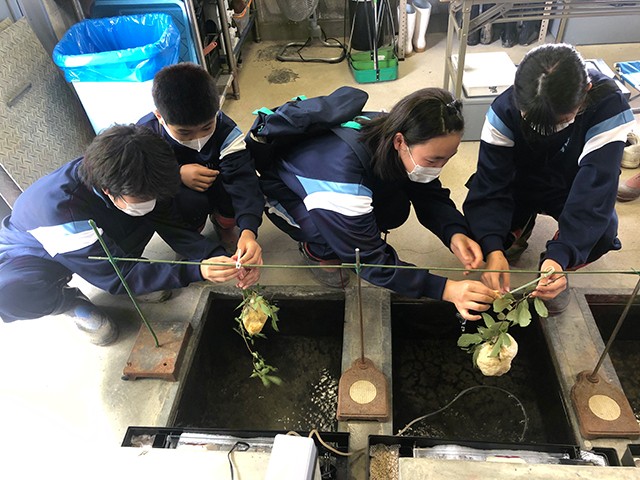 西宮市立山口中学校 モリアオガエル保存会