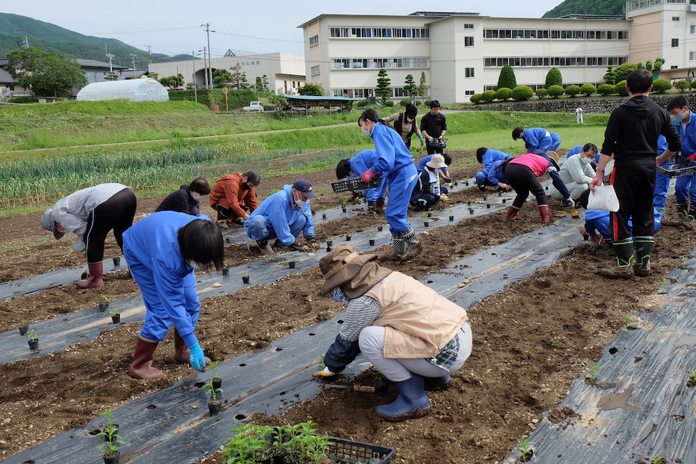 伊那市立長谷中学校