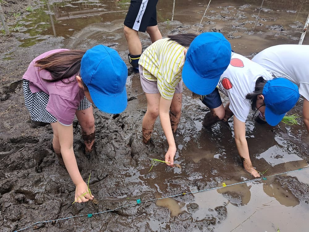 雲雀丘学園小学校