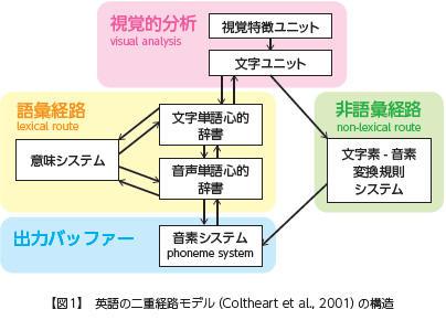 【図1】英語の二重経路モデル(Coltheart et al,. 2001)の構造