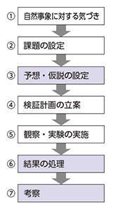 【図2】問題解決の過程