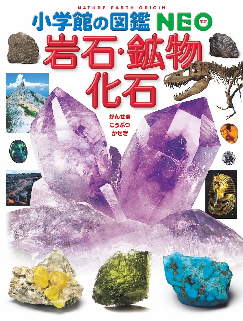 爆買いしたくなる お気に入りの一冊 ライブラリー その他