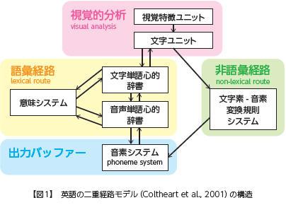 【図1】英語の二重経路モデル（Coltheart et al,. 2001）の構造