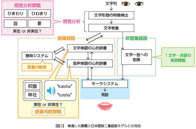 【図2】検査した課題と日本語版二重経路モデルとの対応