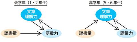 【図2】小学校低学年と高学年で優勢な「読書量の効果モデル」